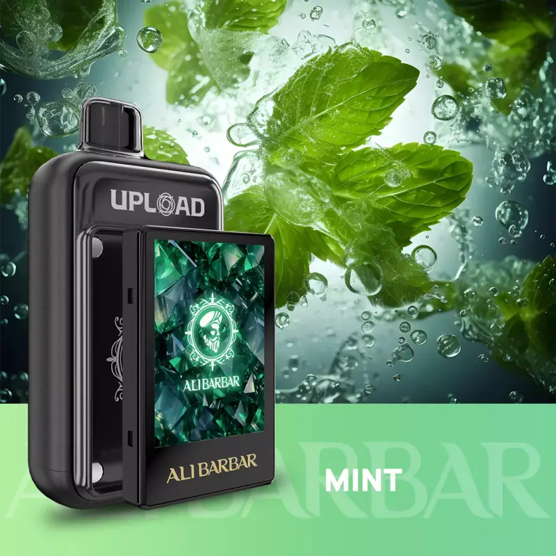 ALIBARBAR UPLOAD 25000 PUFFS – Mint