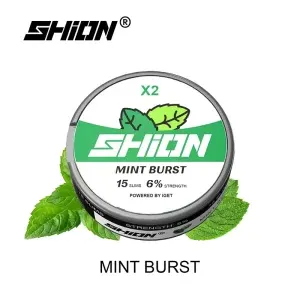 Mint Burst – IGET SHION X2 Nicotine Pouch 6mg